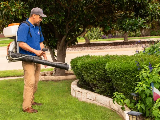 Technician fogging a backyard for mosquitoes
