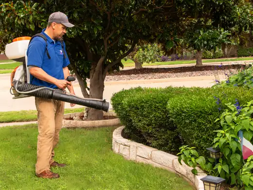 Technician fogging a backyard for mosquitoes