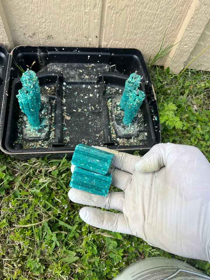 Technician performing a rodent inspection at a home